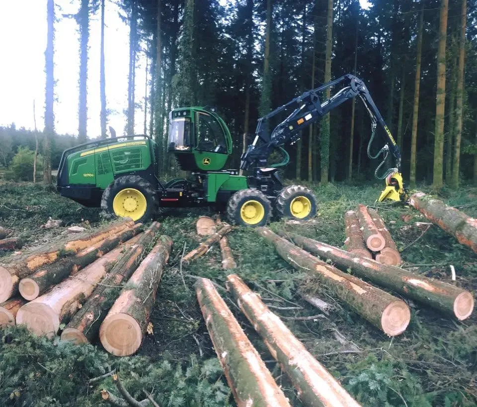 Livraison corde de bois à La Guerche-de-Bretagne